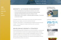 Website Redesign for The Cogent Executive